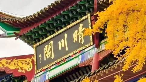 推荐 欧冠赛程周二006战报彩票开奖：博德闪耀与奈梅亨对决
